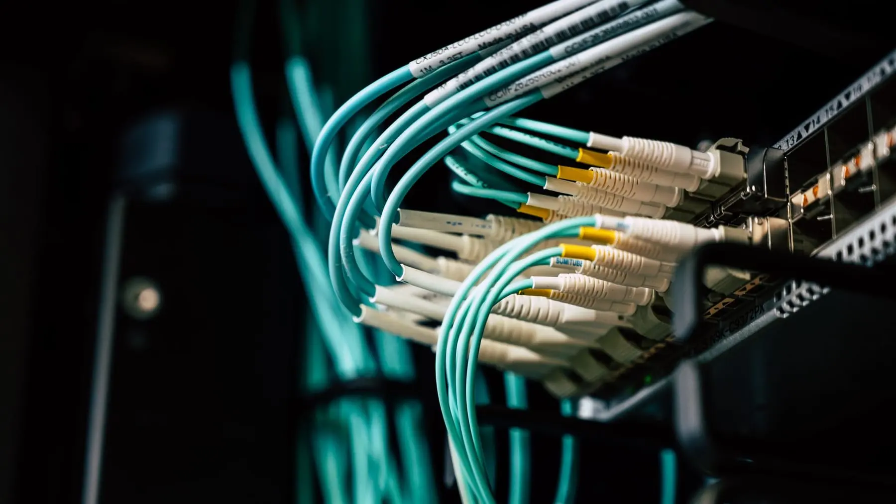 Teal fiber optic patch cables plugged into a network rack